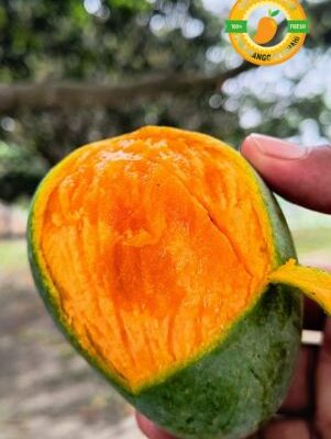 গোপালভোগ আম